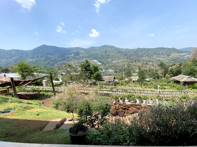 “Mori Natural Farm”
