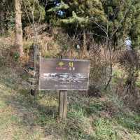 제주ㅣ반려동반 가능한 제주도 오름 추천, 금오름🏔