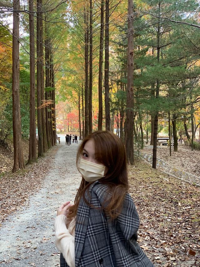 [상소동 산림욕장] 한국의 앙코르와트🗿