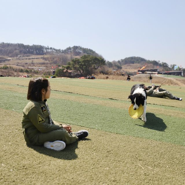 단양 패러글라이딩 9살 초등학생의 도전