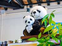 為保護動物出一分力