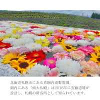 【北海道】安藤忠雄設計の礼拝空間