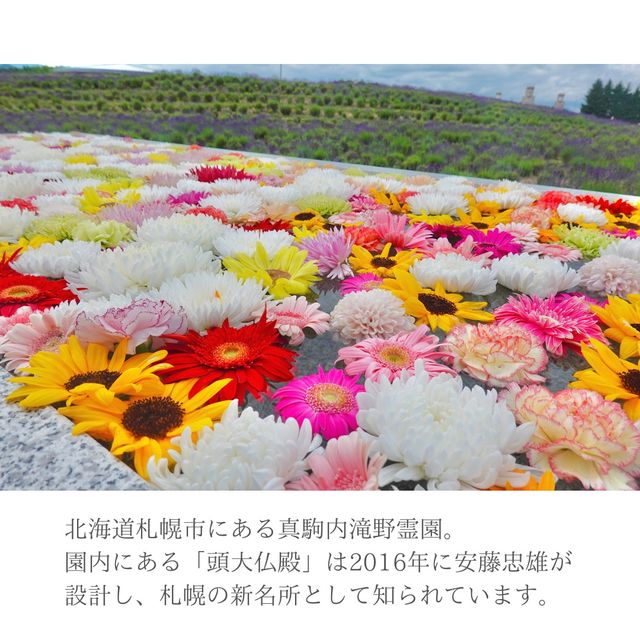 【北海道】安藤忠雄設計の礼拝空間