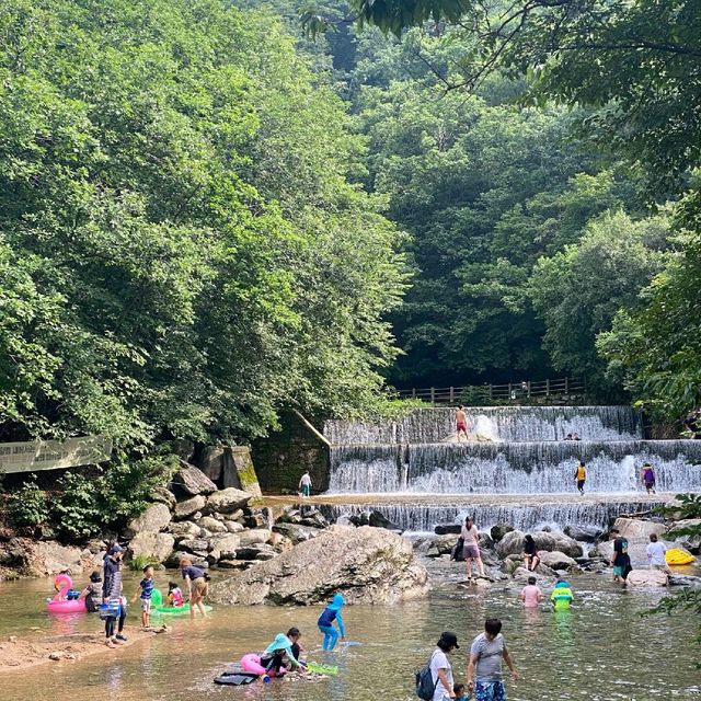 가평 국립 유명산 휴양림 계곡과 시원한 바람