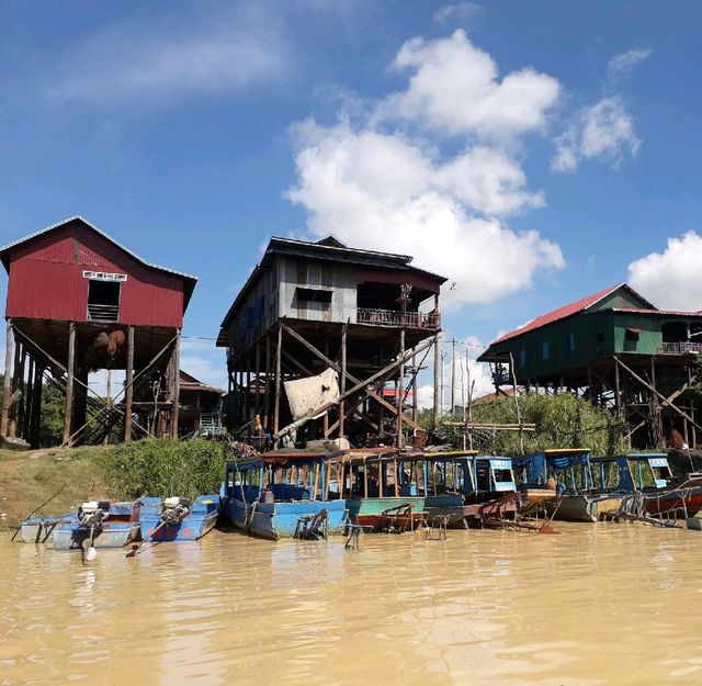 Home on stilts 
