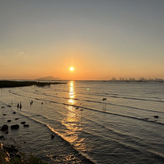 香港新界西北半日遊 — 荃灣、屯赤、下白泥