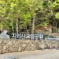 지리산 국립공원 단풍놀이🍁🍂