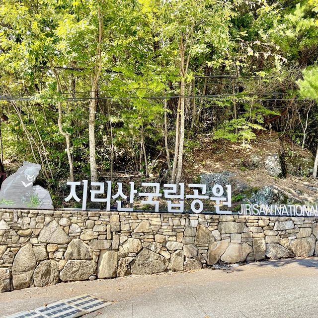 지리산 국립공원 단풍놀이🍁🍂