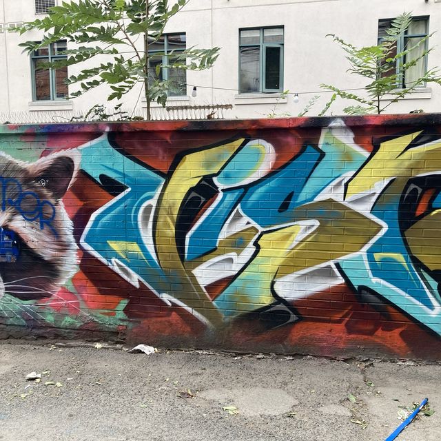 【トロント】ストリートアートGraffiti Alley