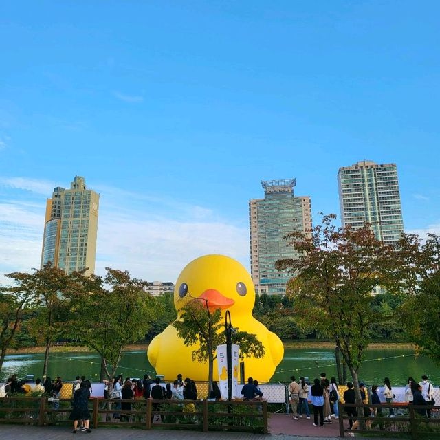 [서울] 러버덕출현!! 귀여움주의보발령