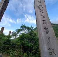心經簡林🌲🌲