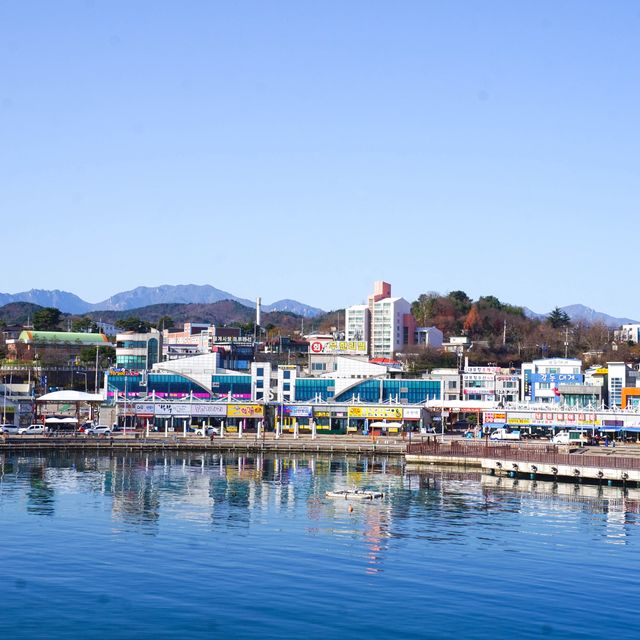 속초 여행 필수 코스 대포항