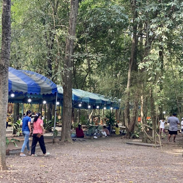 ทำบุญสวนป่าสมุนไพร@วัดปลักไม้ลาย