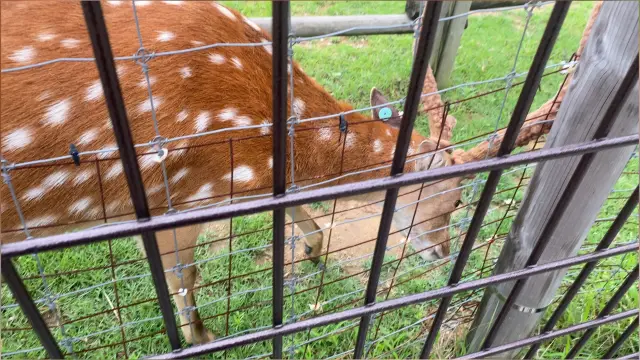 Zoo in the Songdo Central Park