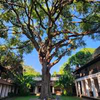 Jewel in Chiang mai🧘🏻‍♀️