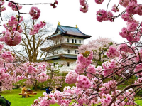 松前城