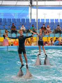  โชว์โลมาภูเก็ต 🐬