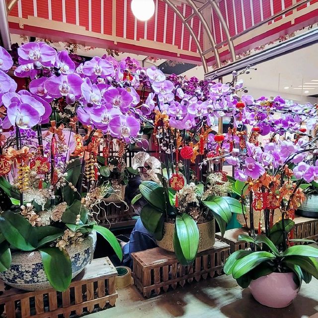新春🎄好去處 ～ 青衣城 「新春年貨大街」 