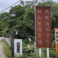 알전구 별로 가득한 캠핑장