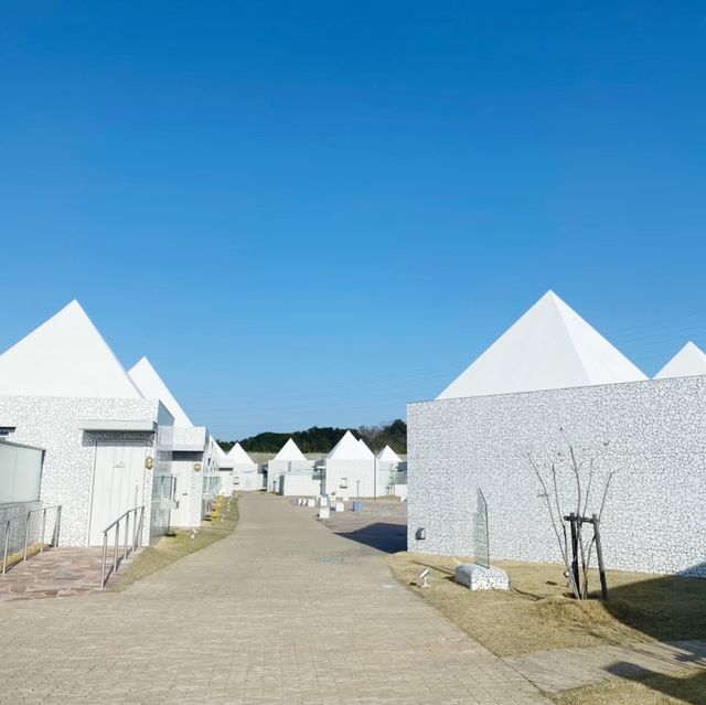 【和歌山県:白浜温泉】お酒がすすむ美食の白浜旅♨️