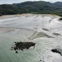 認識生態、親親大自然好地方 - 水口