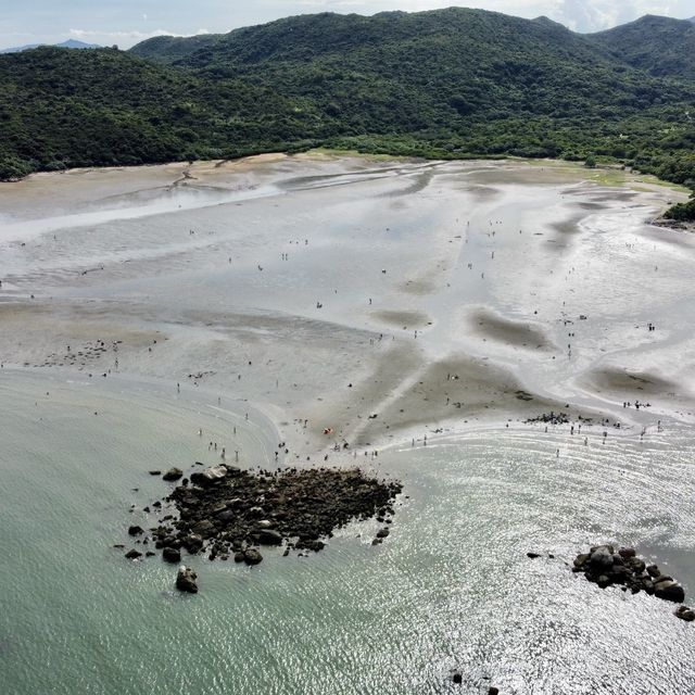 認識生態、親親大自然好地方 - 水口