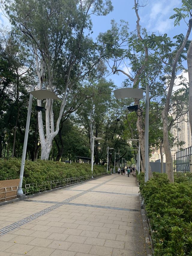 城市中的一點綠-銅鑼灣花園 城市中的一點綠-銅鑼灣花園