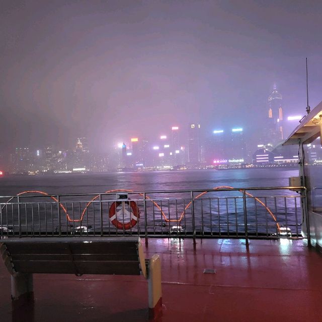 洋紫荊維港遊⛴️自助餐+開篷巴士遊