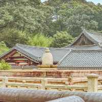 부처님의 사리가 한국에 있다구?
