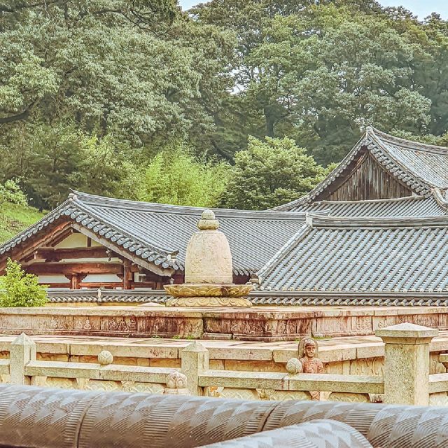 부처님의 사리가 한국에 있다구?