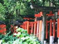 箱根神社⛩️