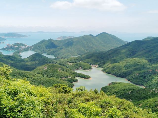 鰂魚涌坳