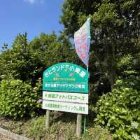 旅する蝶々🦋💫.•*¨*•.🦋💫 