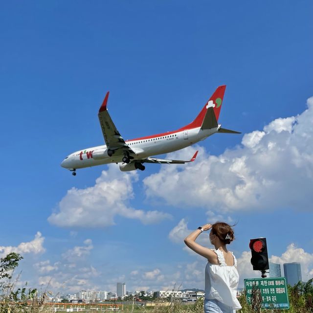 비행기와 인생샷찍기✈️