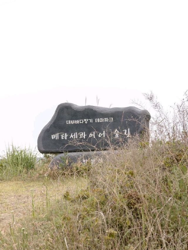 대부도 데이트추천, 에일리언 바이크