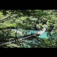 bridge of dreams