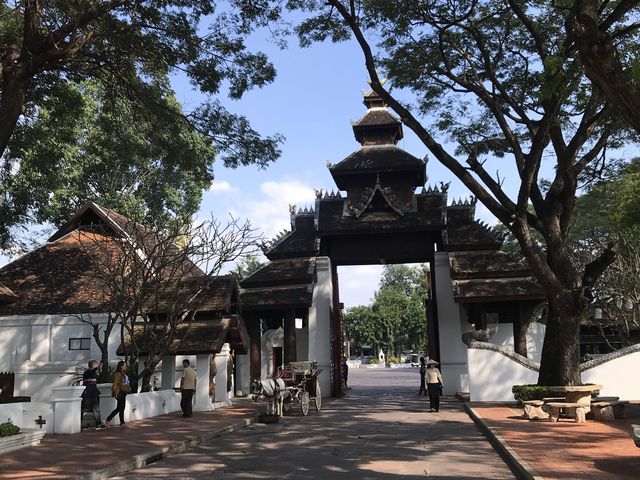 นั่งจิบชากับทานมาการอง ในตำนานกัน💖🫖
