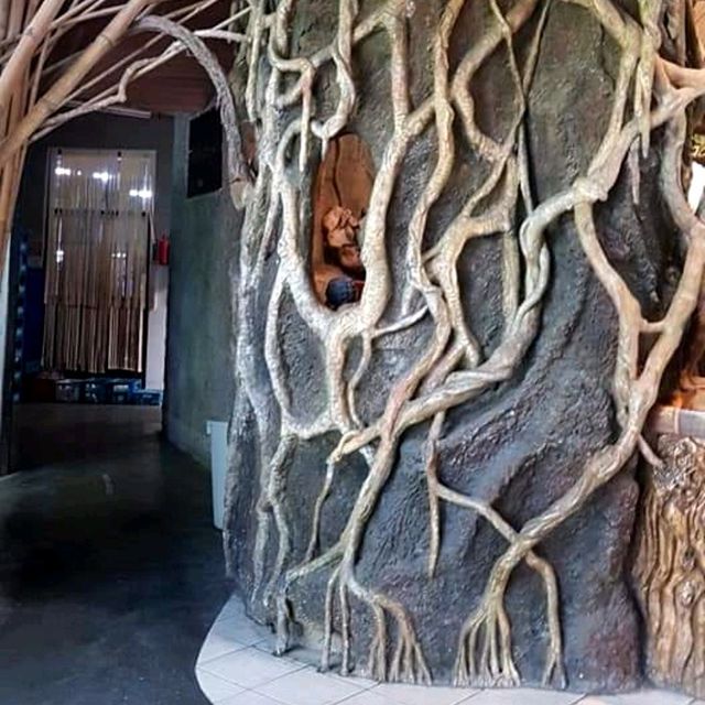ป่าในจินตนาการ ข้าวเม่า-ข้าวฟ่าง เชียงใหม่ 🌳🌿🍃