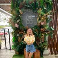 Cafe Hopping in Batam 💓