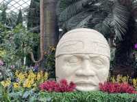 The Colourful Hanging Gardens Mexican Roots 