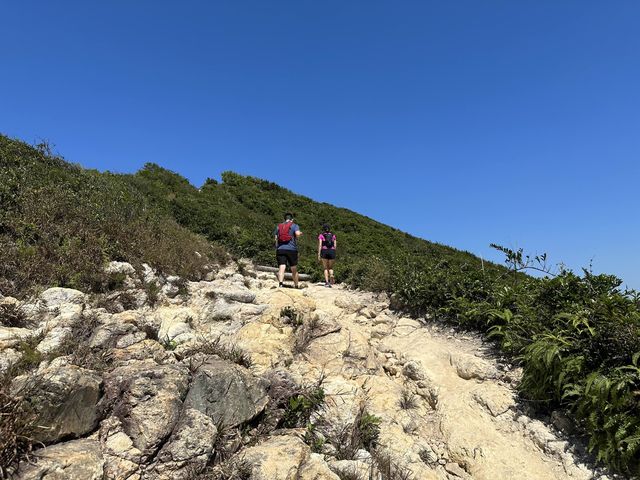 港島行山路線｜快閃龍脊睇靚景