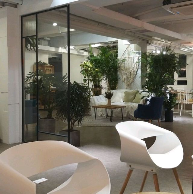 A pet friendly hotel in Tsuen Wan 