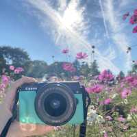 【立川 昭和記念公園】春夏秋冬いつでも楽しめる大規模な公園！