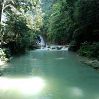 Kawasan Falls in Cebu