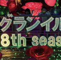 幻想的で煌びやかなイルミネーション✨✨