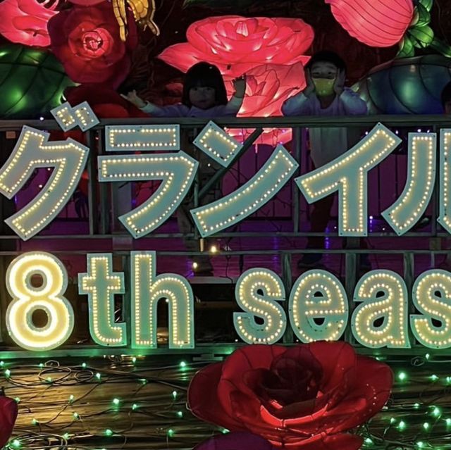 幻想的で煌びやかなイルミネーション✨✨