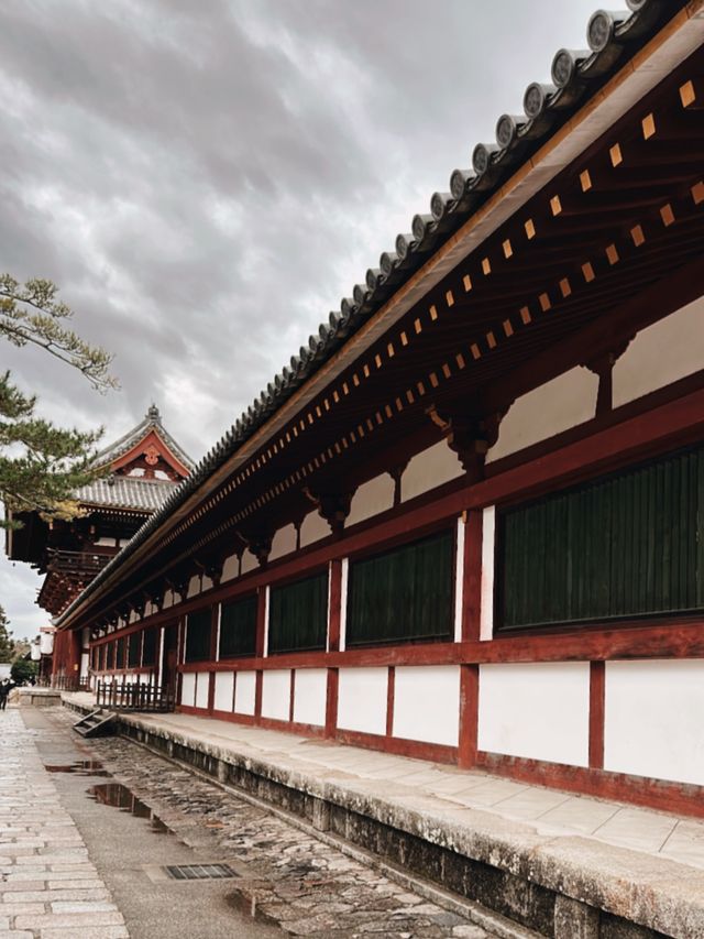 日本大阪必去景點-奈良公園