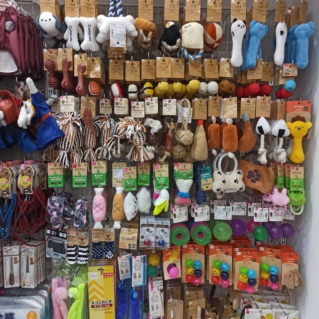 Daiso พาเพลินเเหล่งรวมสินค้าคุณภาพดีจากญี่ปุ่น
