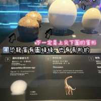 《恐龍展🦕必睇7項嬰幼龍醫護》