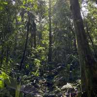 Tirimbina hikes and lodge